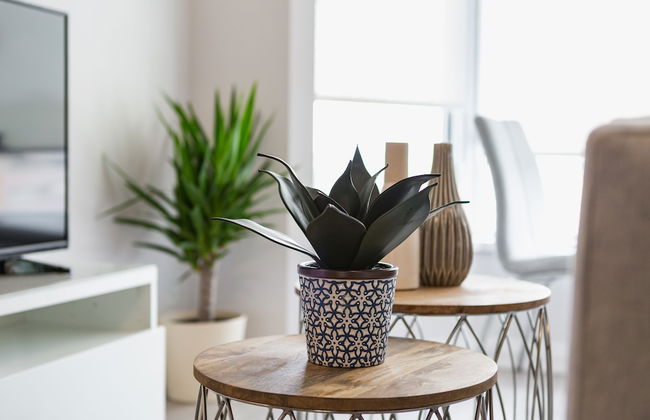 QuickStay - Class in Yorkville (Yonge & Bloor) - Photo 2