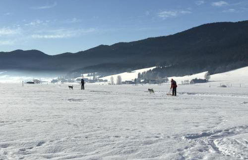 Appartement Les Ptits Loups - Foto 27