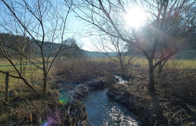 Eifel Escape: Cozy & Scenic - Photo 38