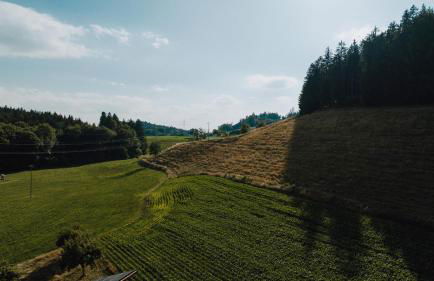 BodenSEE Apartment Neukirch Goppertsweiler HASE - Foto 31