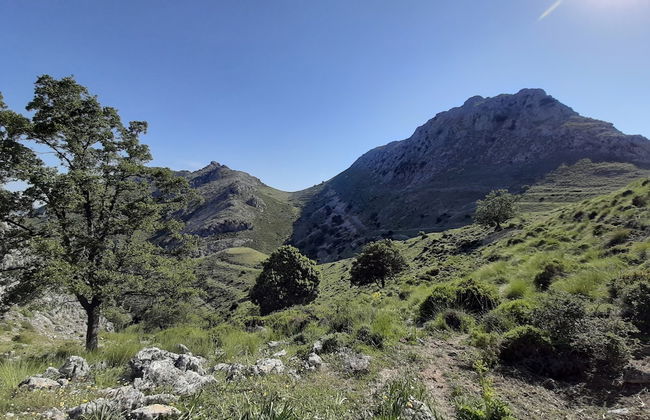 El Rincón de Carmen - Foto 59