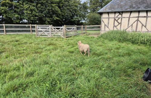 Villa Fleurie - Foto 53