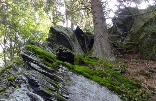 Schleiden Timber-frame Retreat - Foto 61