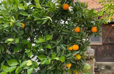 ANTICA BAITA - Foto 50