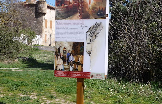 Le Gîte Vigneron - Foto 14