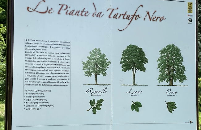 Appartamento Roero Cottage 3 - Foto 15