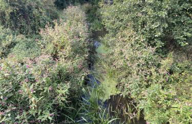 Open-Air-BnB Wohnung 76m2 Freudenburg nur 3 min - Foto 42