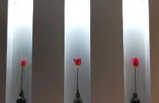 Le Renne Blanc Pyrénées de France - Foto 31