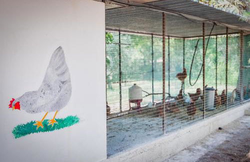 Torre Casciani - Foto 122