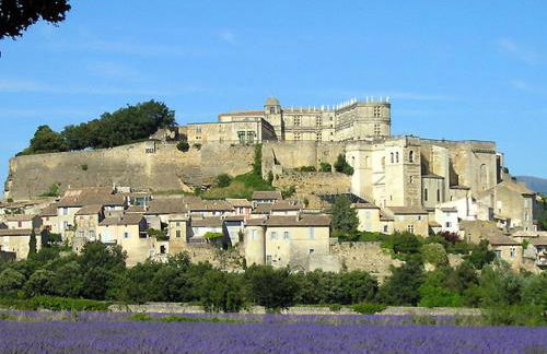 La maison des loirs - Foto 4