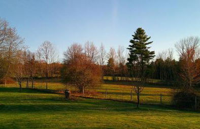 My Valhalla Farm - Foto 38