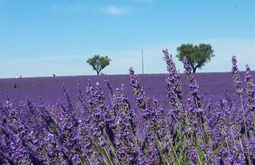 Lou paradiú du verdon - Foto 14