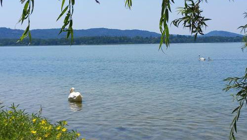 Appartamento Miralago Varese Lakefront and Garden - Foto 4