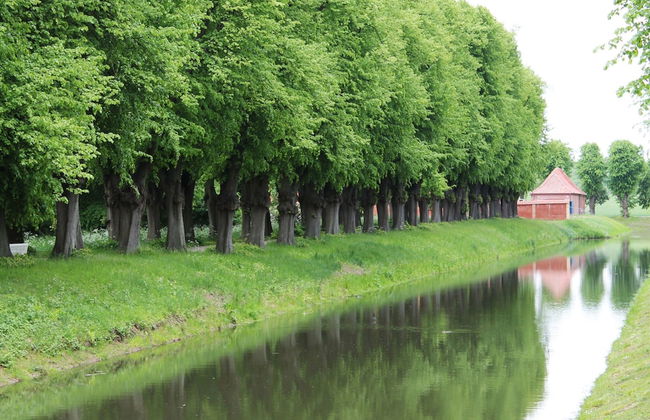 Budget-wohnung in Grundshagen mit Gartensitzplatz - Foto 48
