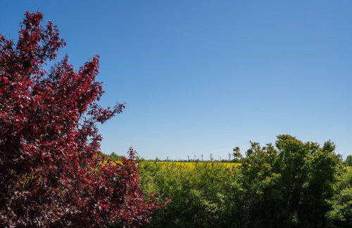 Wenkendorf "Lille Lykke" - Foto 11