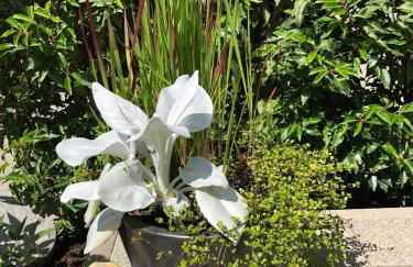 Ferienwohnung Gasser - Foto 21