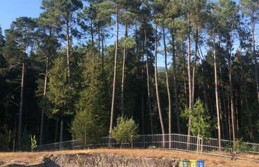 Casa dos Limões - Foto 24