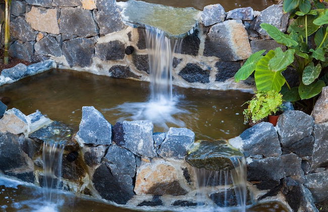 Panoramica Garden - Foto 49