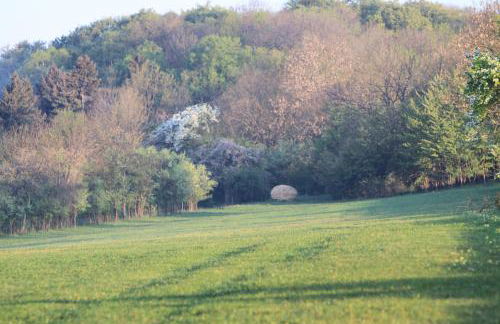 Ferienhäuser am Hainich - Foto 8