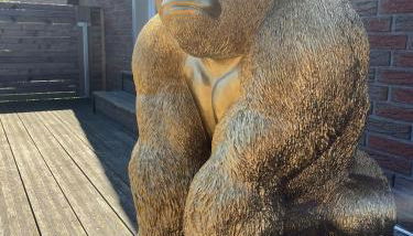 Ferienwohnung 12 Monkeys - Foto 2