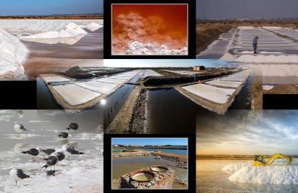 Playa Eucaliptos 1A - Foto 41