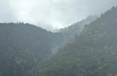 Kalavryta Villa Nano with fireplace and next the Ski Centre - Photo 11