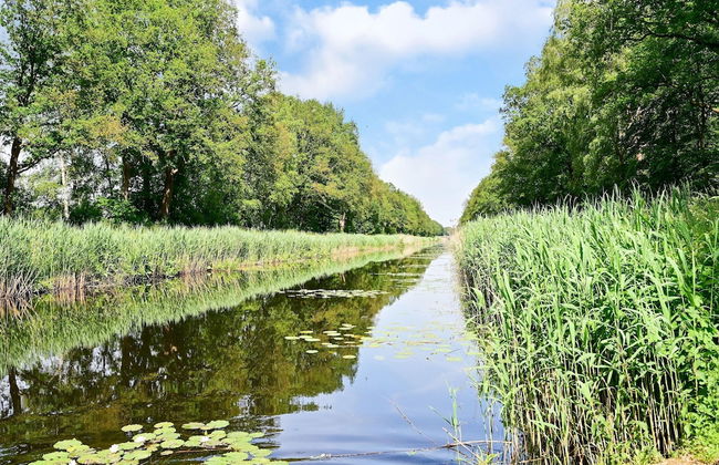 House in Reutum With Jacuzzi & Forest View - Foto 20