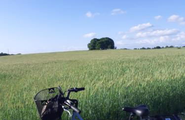 L'édredon de Joséphine - Foto 20