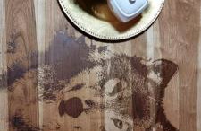 Myśliwska chata Staś i Nel - Foto 7