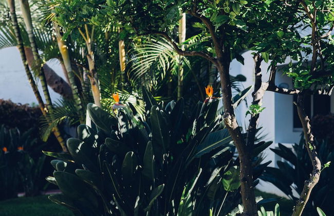 Route Active Hotel - Foto 59