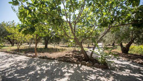 Elea Houses - Foto 2