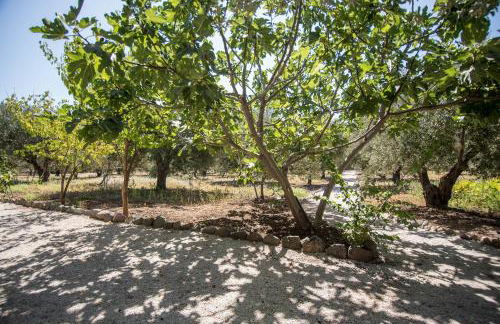 Elea Houses - Foto 2