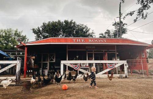 Cabin 5 The Roost Cabins - Foto 15