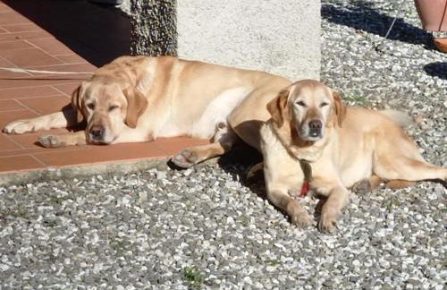 Cabaña tranquila, San Quirico - Foto 40