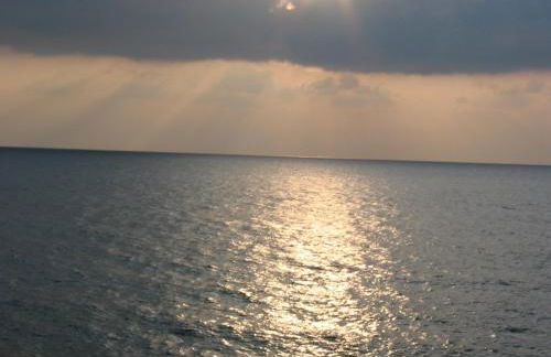 Level Houses - Foto 50