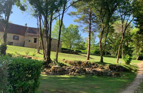 Gîte - Le Petit Noyer - Foto 15