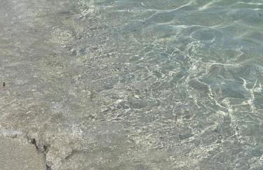 Wiki's Place - Foto 42