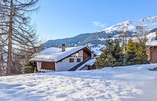 Diure 0113 - Foto 11