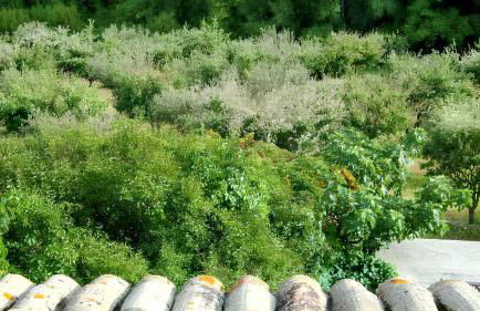 Charmante villa à Dauphin avec piscine privée et jardin - Foto 8