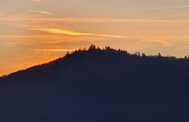 Ferienwohnung an der Mosel, Romeo - Foto 17