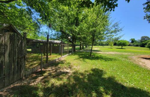 Echo Valley Outdoor Oasis Campsite - Foto 33