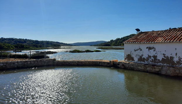 Make memories that will last a lifetime