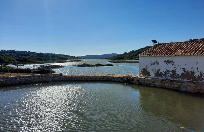 Balade en 4x4 à Portimão, Ferragudo et Silves - Photo 5
