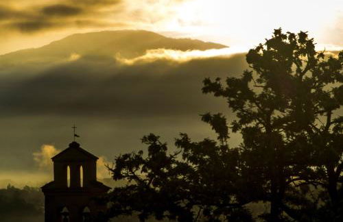 Guelfi6 Poppi - Foto 20