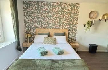 Hortensia Roanne centre-ville - Parking & Clim - Foto 12