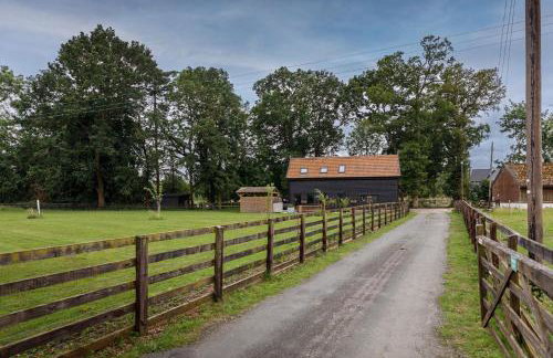 4 Bed in Saham Toney oc-o30348 - Foto 29