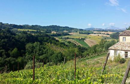 Biancopecora - Foto 1