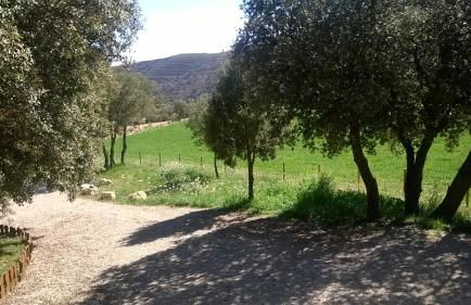 La casa del estanque - Foto 18