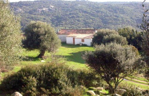 Holiday Home Stazzo mit Garten in Luogosanto by Interhome - Foto 3