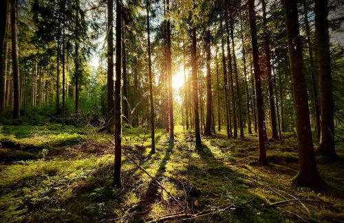 Ferienhaus Robin - Foto 4